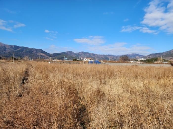 물건 대표 사진