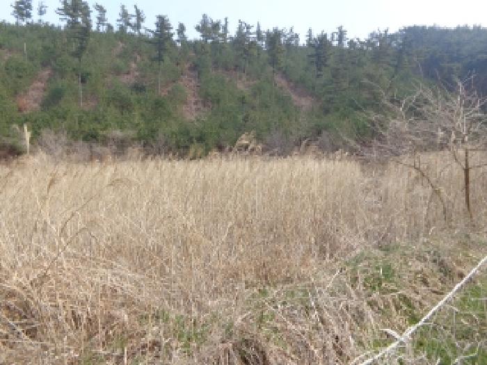 물건 대표 사진