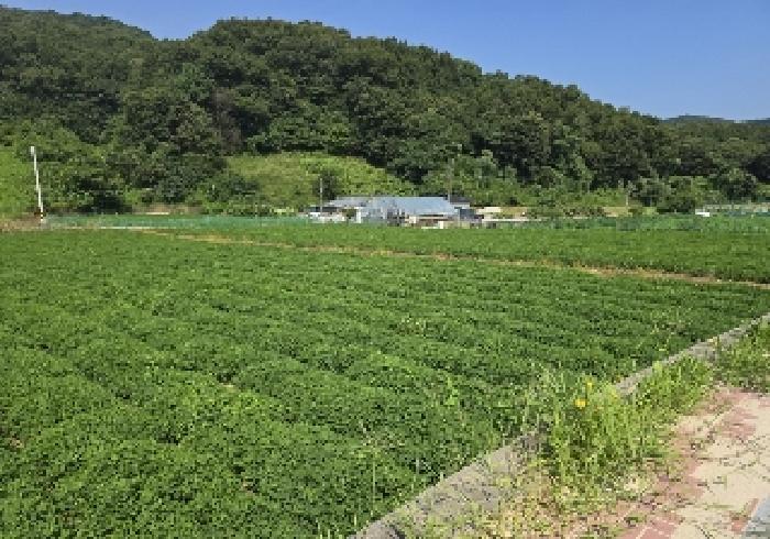 물건 대표 사진